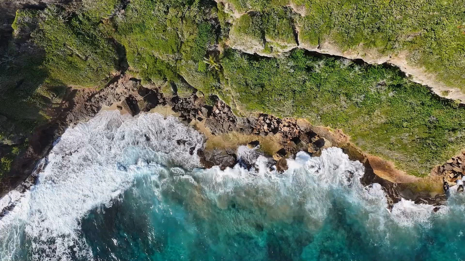 It's Sunday morning and we are open!!🍒Come and see us in the field to... |  TikTok, image size:1920x1080